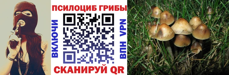 Псилоцибиновые грибы Cubensis Новопавловск
